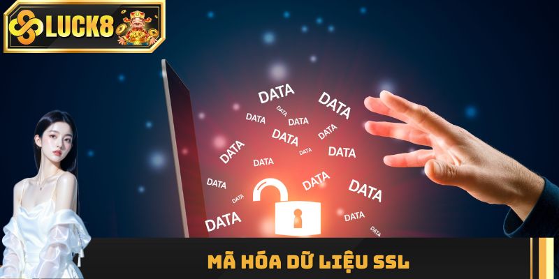 Mã hóa SSL handshake 128bit