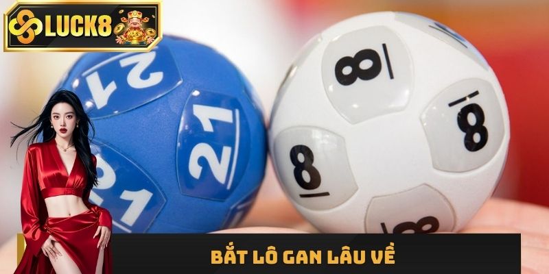 Chọn lô kép vắng mặt quá lâu để cược